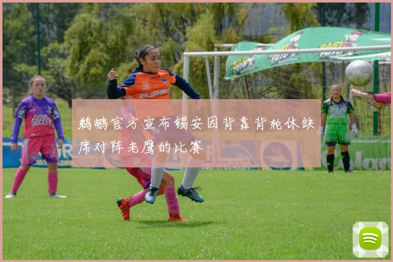 鹈鹕官方宣布锡安因背靠背轮休缺席对阵老鹰的比赛