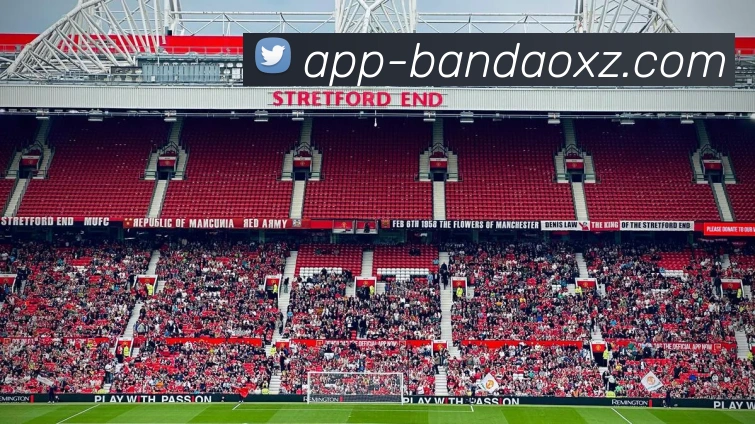 半岛体育平台生态图