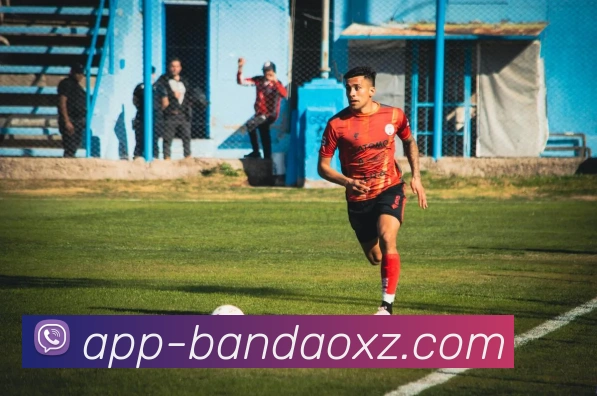 半岛体育APP 封面图