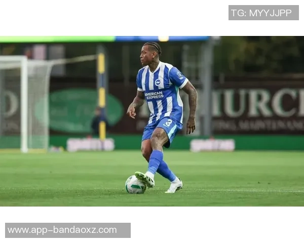 帕尔梅拉斯关注布莱顿后卫伊戈尔现正外租于西汉姆